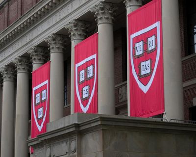 A Harvard scholar’s ouster exposes a crisis of institutional integrity