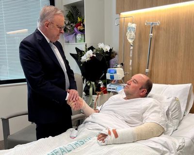 ‘Source of pride for Syria’: man who disarmed Bondi shooter lauded in home town