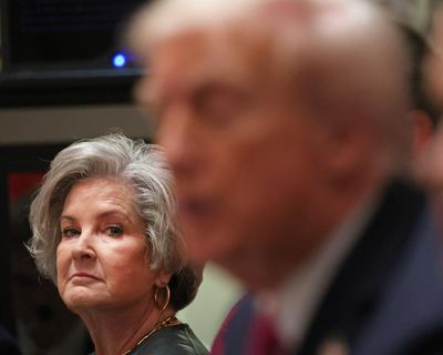 From ‘odd’ Musk to ‘painful’ tariffs: key takeaways from interviews with Trump’s chief of staff