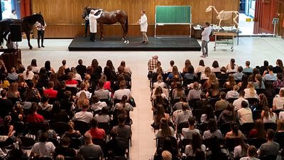 UK to rejoin EU's Erasmus+ student mobility fund in 2027