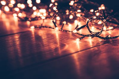 How to Repurpose Leftover Holiday Lights for Garden Use