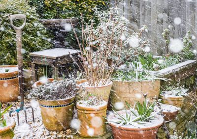 Are Your Garden Containers Rated for Frost or Will They Crack?
