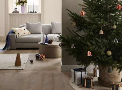 Which Christmas Tree Smells the Best? There's a Clear Winner for the Most Christmassy Scent at Home for the Season, Say Experts
