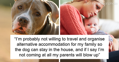 New Mom Politely Nopes Out Of Family Vacay After Bro Insists His Pit Bull Is Fine Around Her Baby