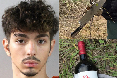 Suspect used wine bottle to beat his landlord to death after being kicked out, Florida cops say