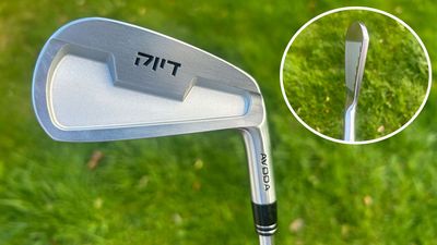 Avoda Origin Curved Face Iron Review: Is The Future Of Iron Design Already Here?