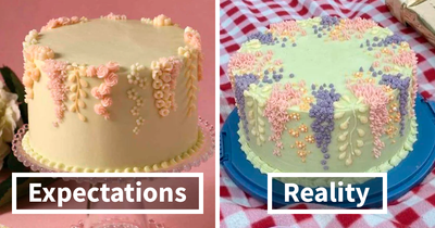94 Expectations Vs. Reality Photos That Took People By Surprise (New Pics)