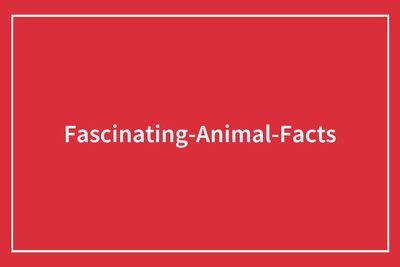 “Cats Can Recognize Their Owner’s Voice, Face, And Even Footsteps”: 66 Interesting Animal Facts