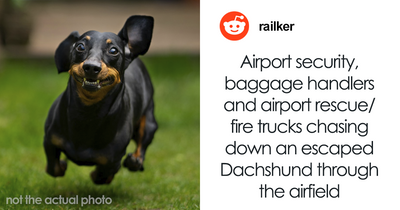 42 Crazy Airport Stories That Are Hard To Believe