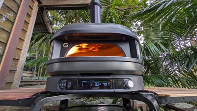 The Gozney Dome (Gen 2) might be the ultimate backyard pizza oven – but its pro features come with a steep price tag