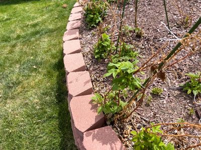 12 Creative Garden Borders You Can Install in December