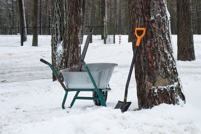 How To Keep Your Garden Tools Organized When Snow Hits