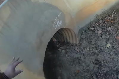 Moment cops rescue 5-year-old autistic boy stuck in a drain