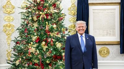 ‘Trump is President of the Liars and Gaslighting Club’: Rep. Jim McGovern just bulldozed Trump’s reputation in the most iconic way