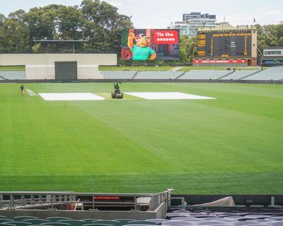 Australia reach 271-4 to lead England by 356 runs: Ashes third Test, day three – as it happened