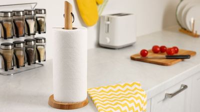 Paper towels vs dish cloths — we asked the experts on which is better for cleaning your countertops