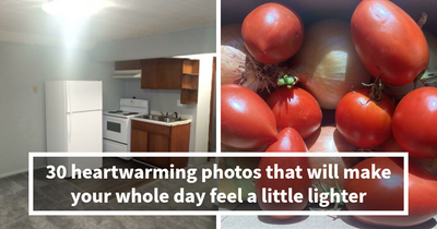 30 Photos That Are So Wholesome They’ll Leave You Feeling Warm And Fuzzy