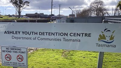 Youth escapees involved in alleged carjacking