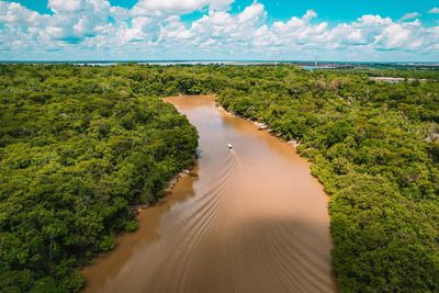 How to Choose a Responsible Amazon River Trip