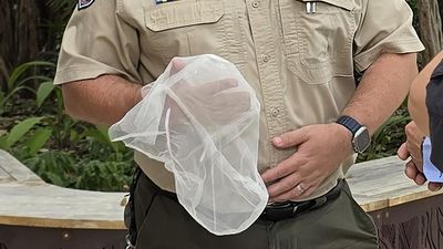 Coroner urges ban on 'ineffective' spit hoods