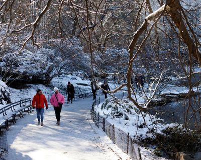 Weather tracker: Early snowfall in New York and a storm ruins Christmas lights in Spain