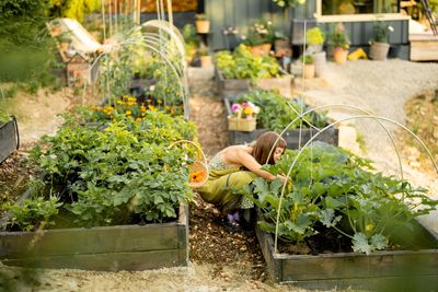 5 DIY Raised Beds That Keep Working Under Frost