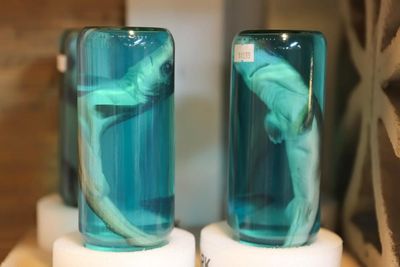 Trump’s EPA wants to weaken formaldehyde protections – this is what it could mean