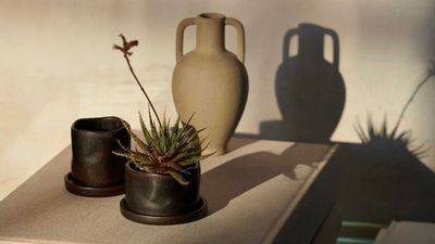 Okay, This Genius Pot Hack Is the Cutest Way to Gift Wrap — It Cuts Down on Waste, Saves Time, and It's Perfect for Anyone Who Loves Plants