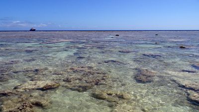 France rolls out 'strong protection' label for 63 marine areas