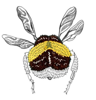 Do bees have bums and how do boats float? The kids’ quiz