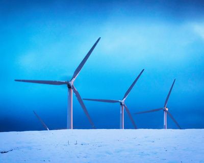 This year’s Christmas could be Britain’s greenest yet, energy operator says