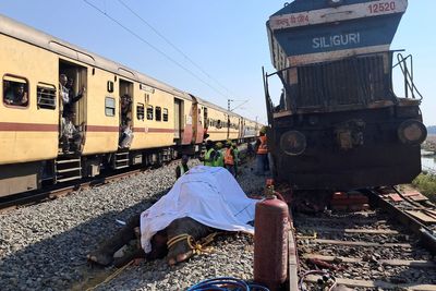 Eight elephants killed as passenger train hits herd in India’s northeast