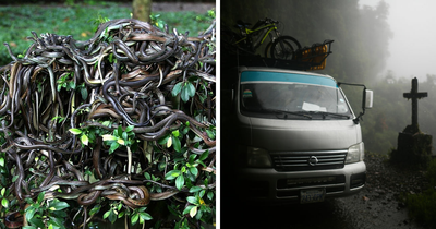 30 Most Dangerous Places In The World To Visit Right Now, Ranked