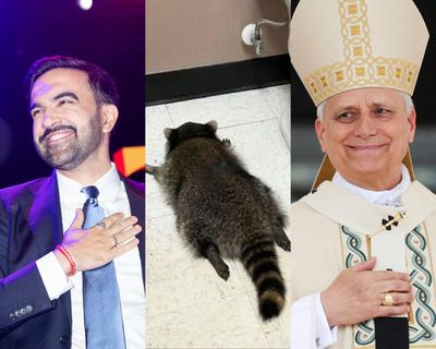 A new pope, a mayoral victory and a drunk raccoon: Guardian US readers on their favorite news moments of 2025