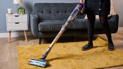 What's the best vacuum for deep carpet? I tested a bunch of options side by side – this one was the clear winner