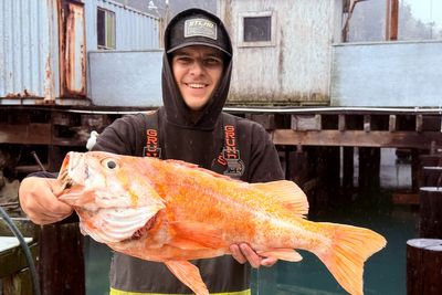 The canary rockfish that could break state and world records