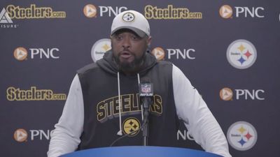 Mike Tomlin No-Comments DK Metcalf Taking a Swing at a Detroit Fan
