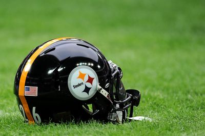 Pittsburgh Steelers wide receiver DK Metcalf appears to throw punch at fan