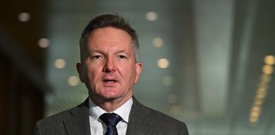 Albanese government announces gas reservation plan to address supply and price