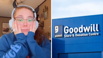 ‘Goodwill doesn’t care anymore’: Florida woman goes to Goodwill. Then she sees a $12 Tipsy Elves Christmas sweater on a mannequin
