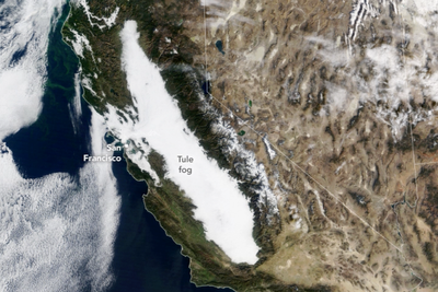 What is the mysterious ‘radiation’ fog blanketing California – and is it dangerous?