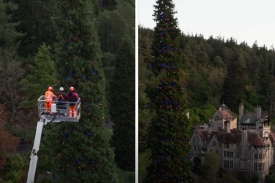 World record for tallest bedded Christmas tree broken by UK country house