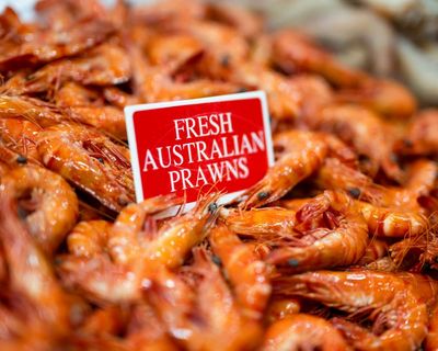 Do prawns feel pain? Why scientists are urging a rethink of Australia’s favoured festive food