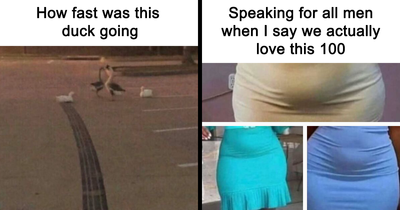 77 Funny Memes To Distract You During A Boring Monday Morning Meeting