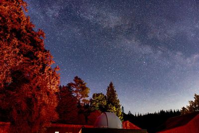 Stargazing in the Lake District: a new forest observatory opens in Grizedale