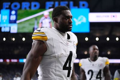 Pittsburgh Steelers star appears to throw punch at fan during game