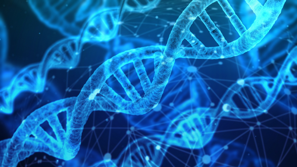 Ex-Funeral Director Accused of Decapitating Woman After Skull Found in Woods 23 Years Later