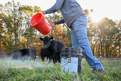 US farmers say Trump’s $12bn package not enough to undo damage from tariffs