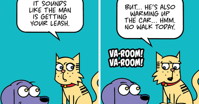 My 20 ‘Saved & Spoiled’ Comics For Anyone Surviving The Holidays With Pets In The House