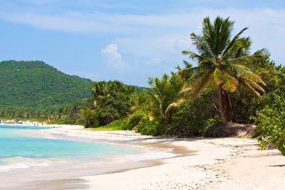 The enchanting Caribbean island Americans can visit without a passport